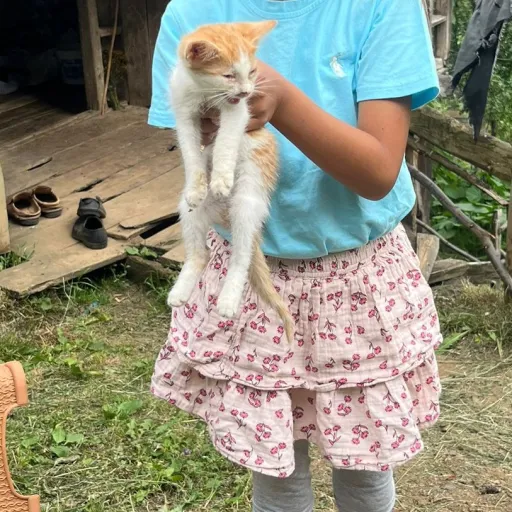 creator besiktas's avatar