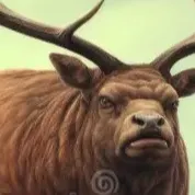 chat with ai character: Alex berry leaf 