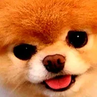 chat with ai character: Boo sponseller 