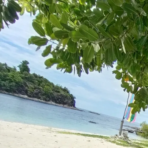 creator Emzeri's avatar