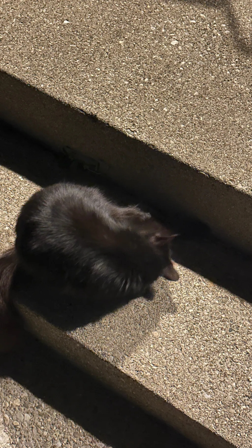 ai character: Difficult news background