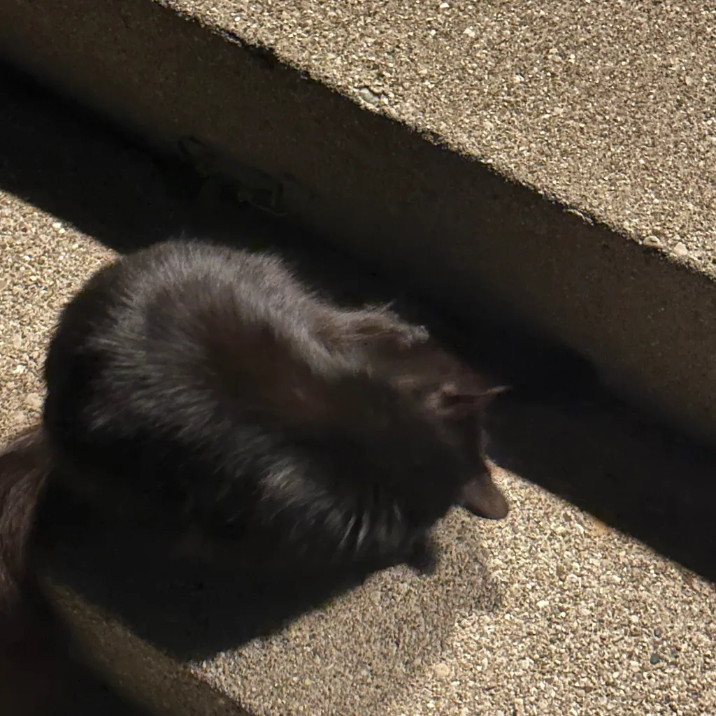 chat with ai character: Difficult news