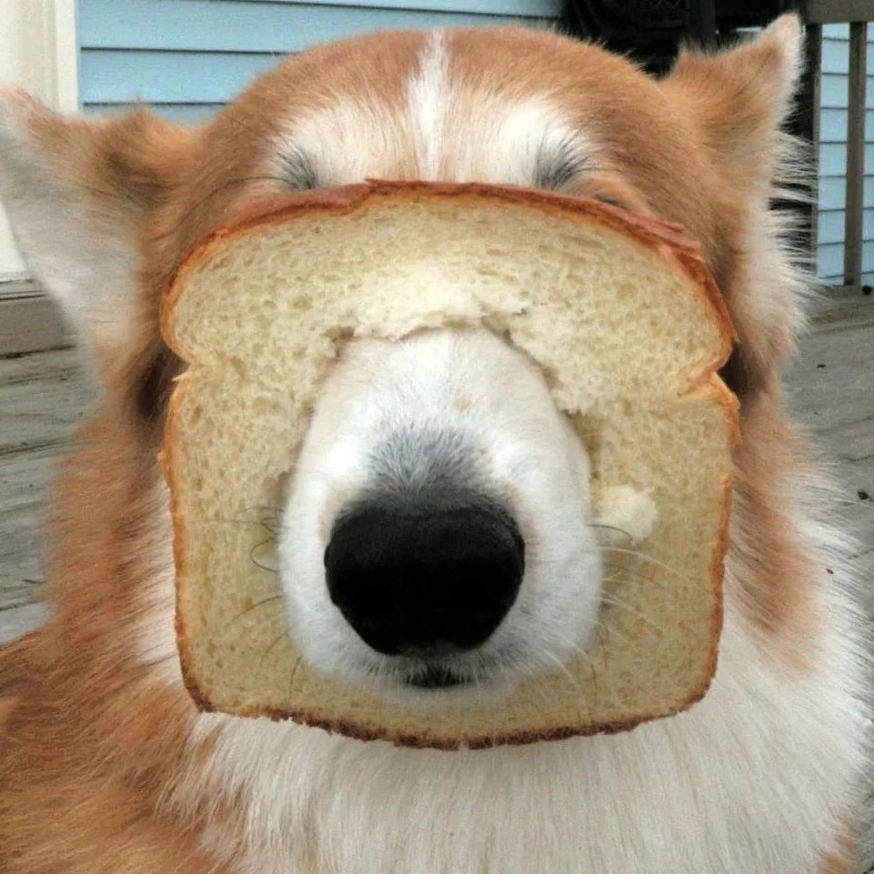 chat with ai character: Ryuu