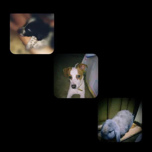 creator kim_143💗's avatar