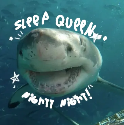 creator ~○|John♥︎Doe|●~'s avatar