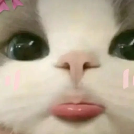 creator Luna and alex's avatar