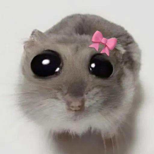 creator •°•Yeri•°•'s avatar