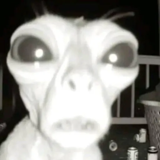 creator panties buyer's avatar