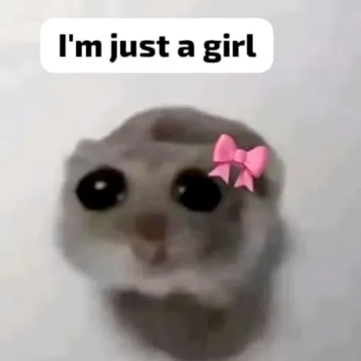 creator slaygurll<3's avatar