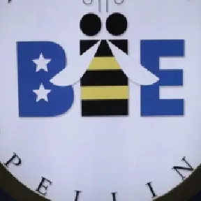 chat with ai character: remade dw spellinB