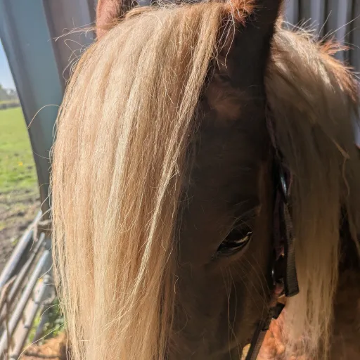 creator Toes1234's avatar