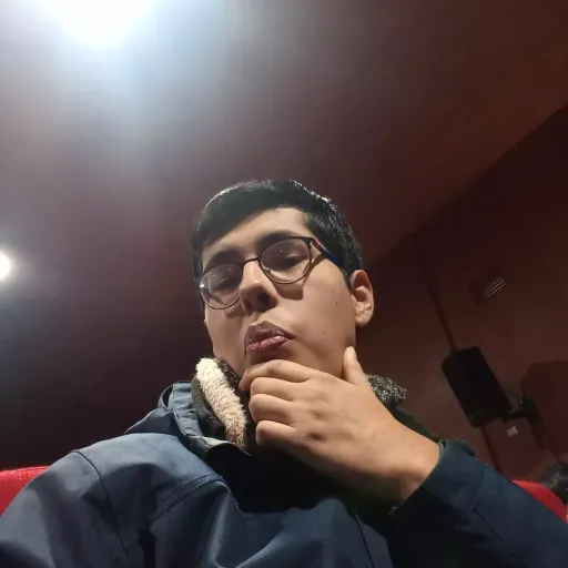 creator David caniuñir's avatar