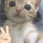 creator Maria-yd5IJZoP's avatar