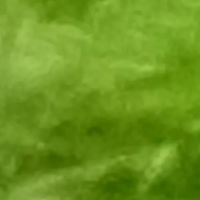 creator :::::::::::::::::'s avatar