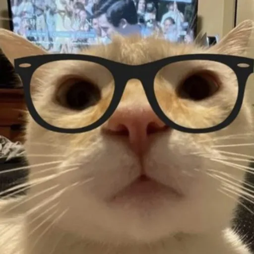 creator 💨Smokey bomby <3💣's avatar