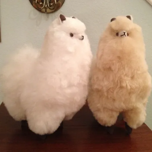 creator 👾 Shane saturó 💋's avatar