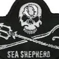chat with ai character: Sea Shepherd