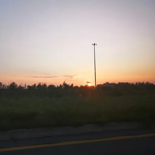 creator laulau_123 🐢's avatar