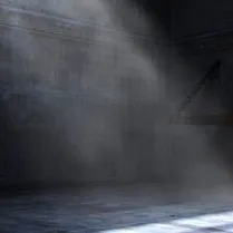 chat with ai character: The D.S.C.F