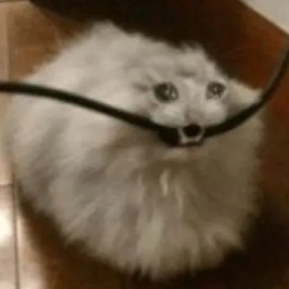 creator Michi triste 2024's avatar