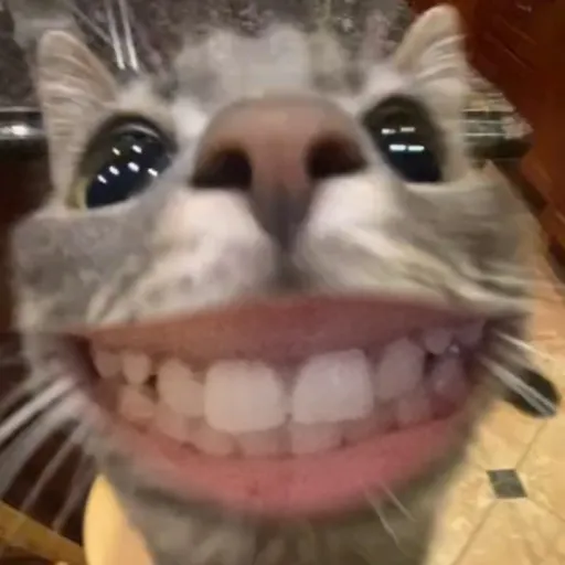 creator 🐈 KITTYUHHHHH!!! 🙀's avatar