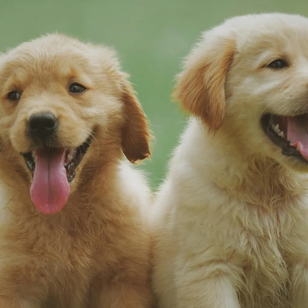 chat with ai character: jay