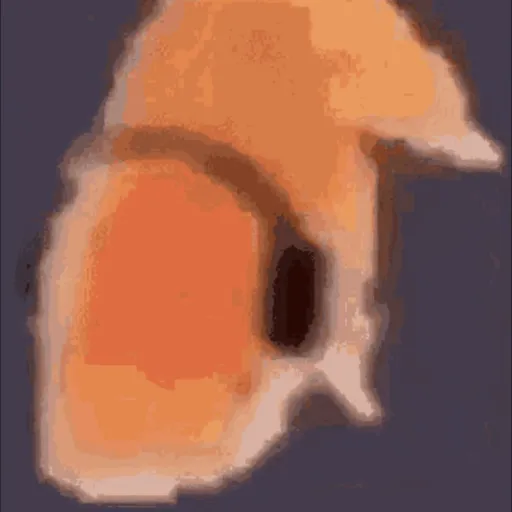 creator atreyuluvsfish6996's avatar