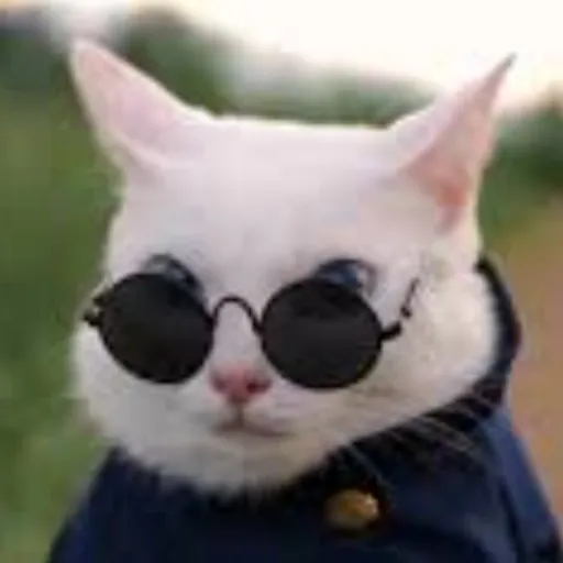 creator michi gojo's avatar