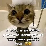 creator i love u my baddie's avatar