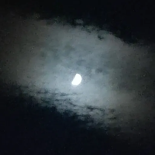 creator Talkior-Lu5rcQdN's avatar