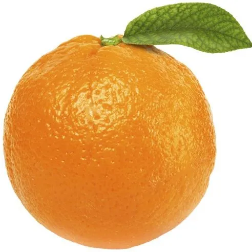 creator Toka_XXL's avatar