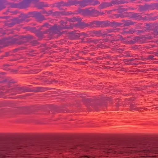 creator Kaylie_747644's avatar