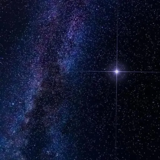 creator sol fofa123's avatar