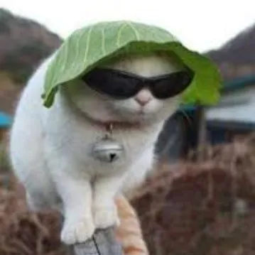 creator mathia_chaquetea's avatar