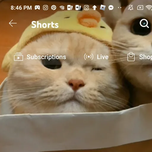 creator xXTalkieAccountXx's avatar