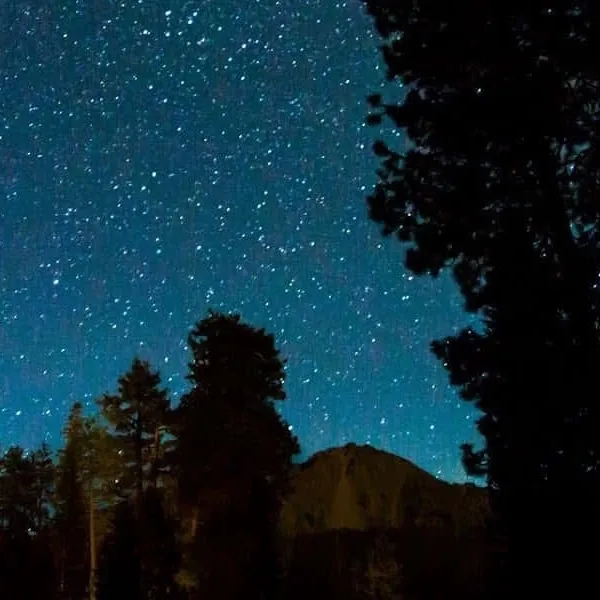 chat with ai character: Charlie (Read Desc