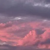 creator mausimaus's avatar