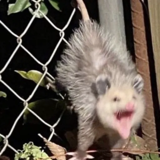 creator Bri_anna1's avatar