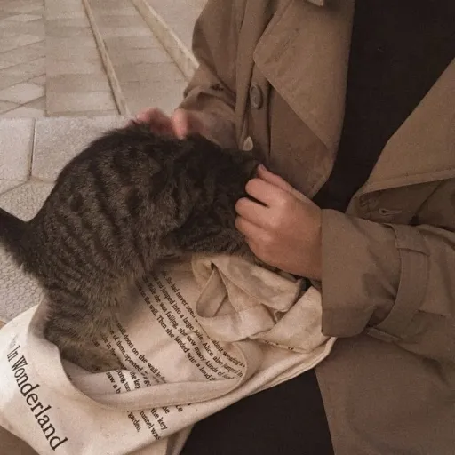 creator m1ny1n's avatar