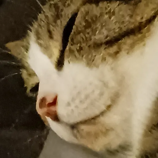 creator LordofFrenzyFlame's avatar