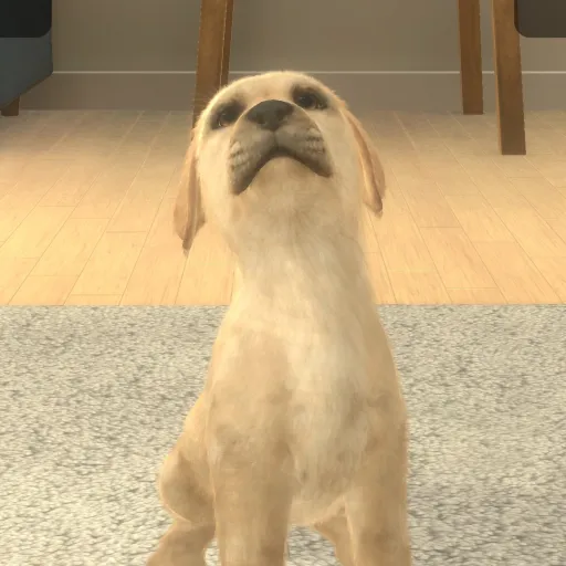 creator lab pup's avatar