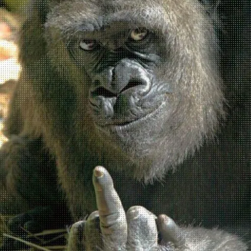 creator move and ur gay:)'s avatar