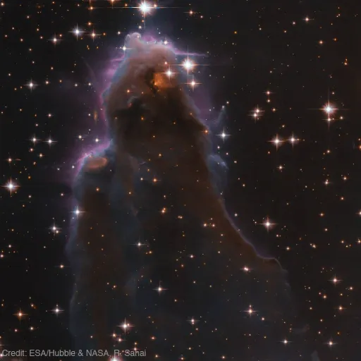 creator Ghost 121's avatar