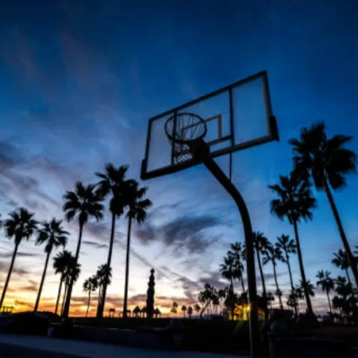 creator guest 2389's avatar