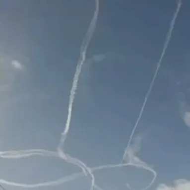 creator Menace_to_society's avatar