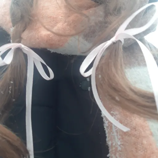 creator Budgies!'s avatar