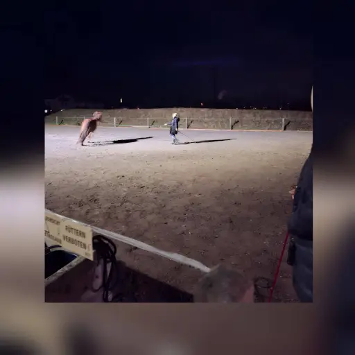 creator IsyPeesie13's avatar