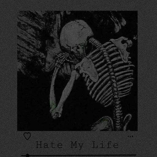 creator Ana Proença's avatar