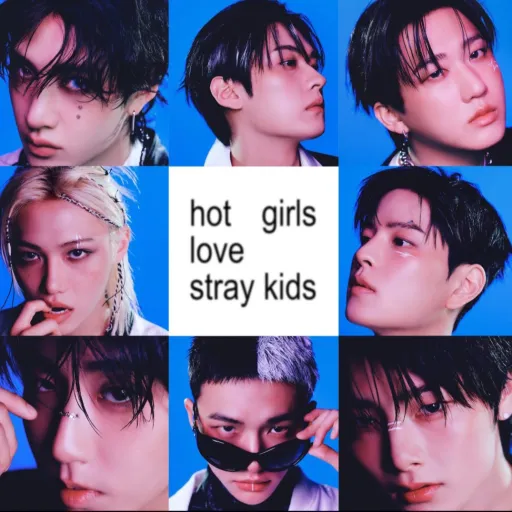 creator Straykidsfandomz's avatar