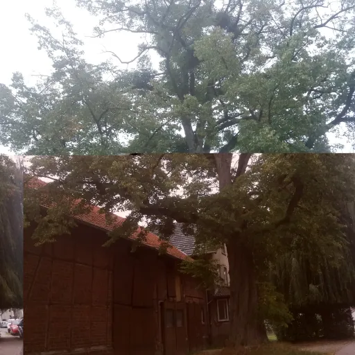 creator jojolo's avatar